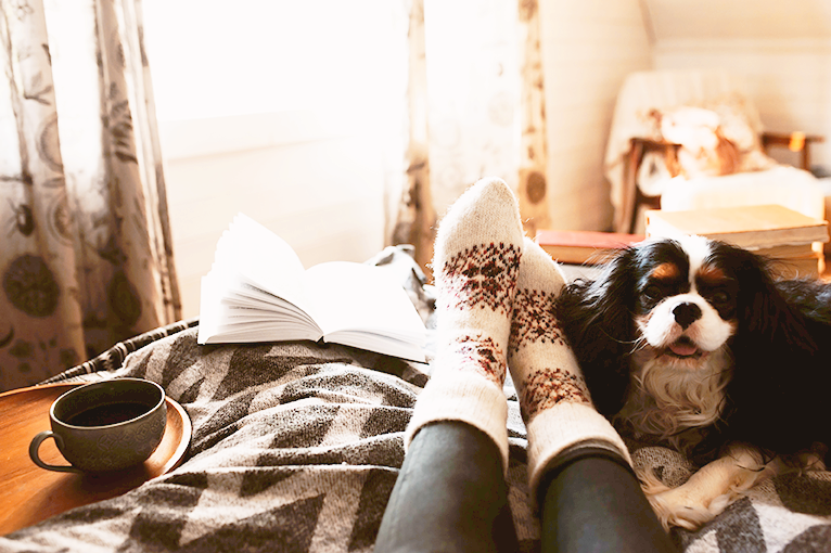 cozy winter day at home with book and sleeping dog